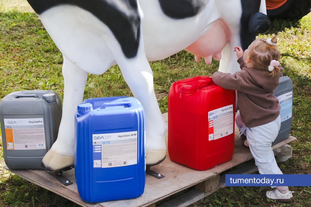 Фото Дениса Моргунова