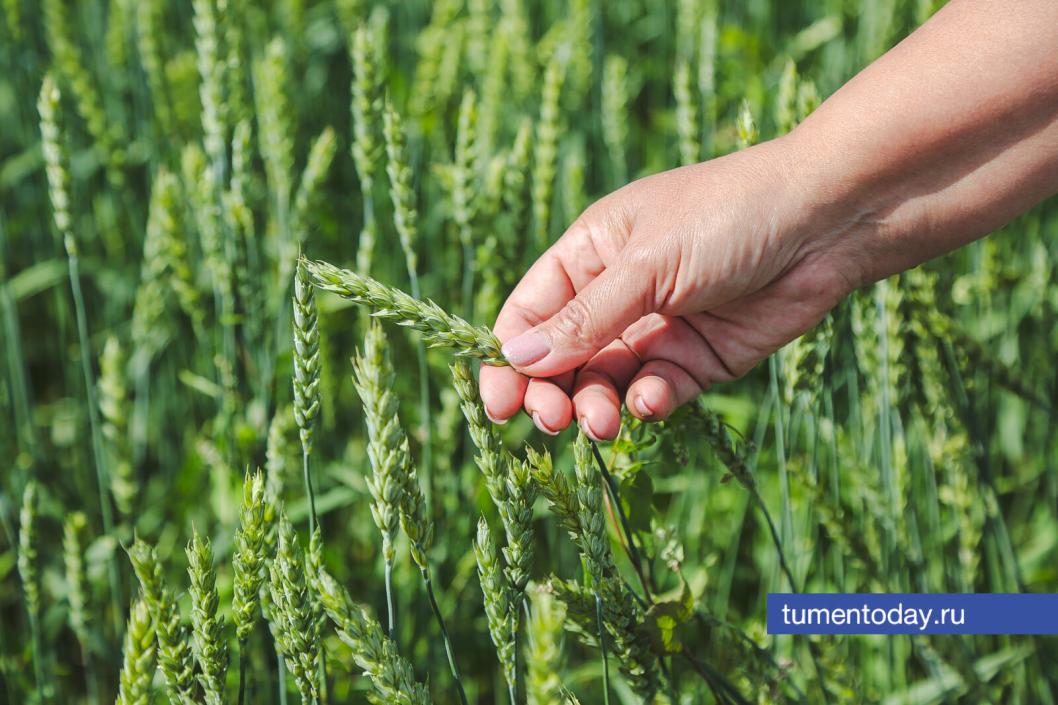 Фото Дениса Моргунова