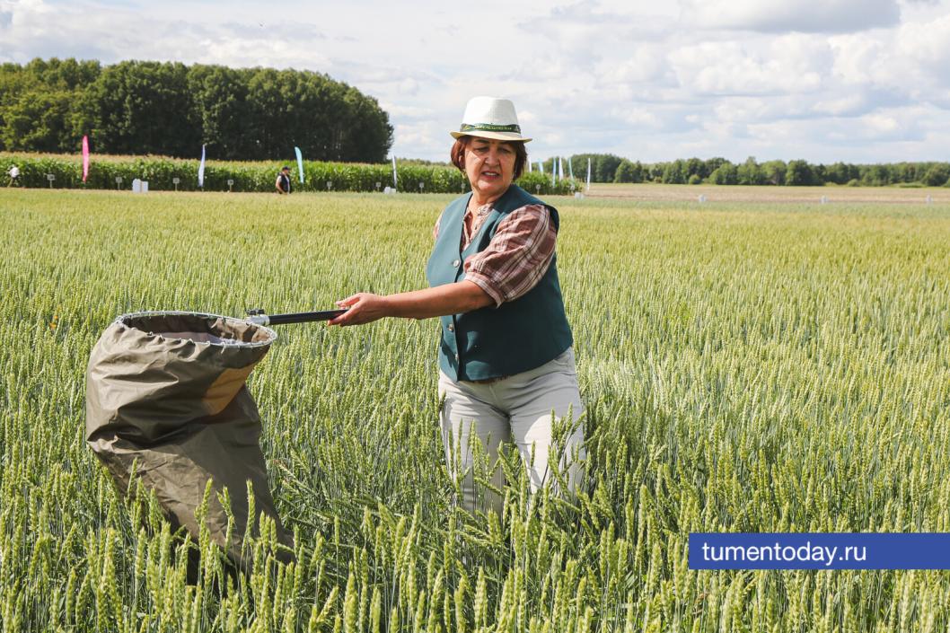 Фото Дениса Моргунова