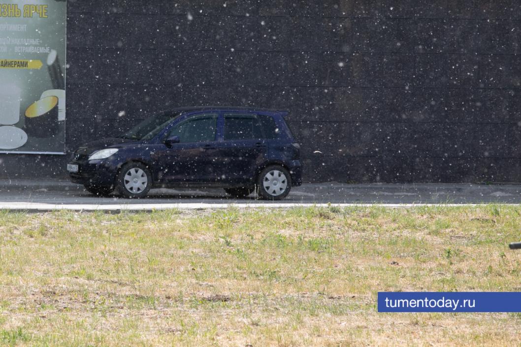 Фото Сергея Куликова