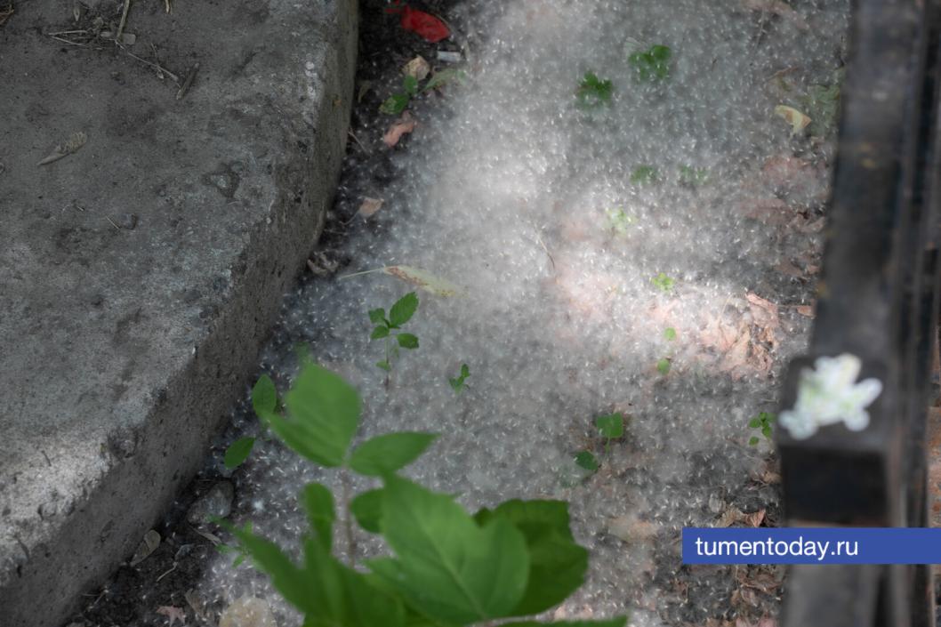 Фото Сергея Куликова