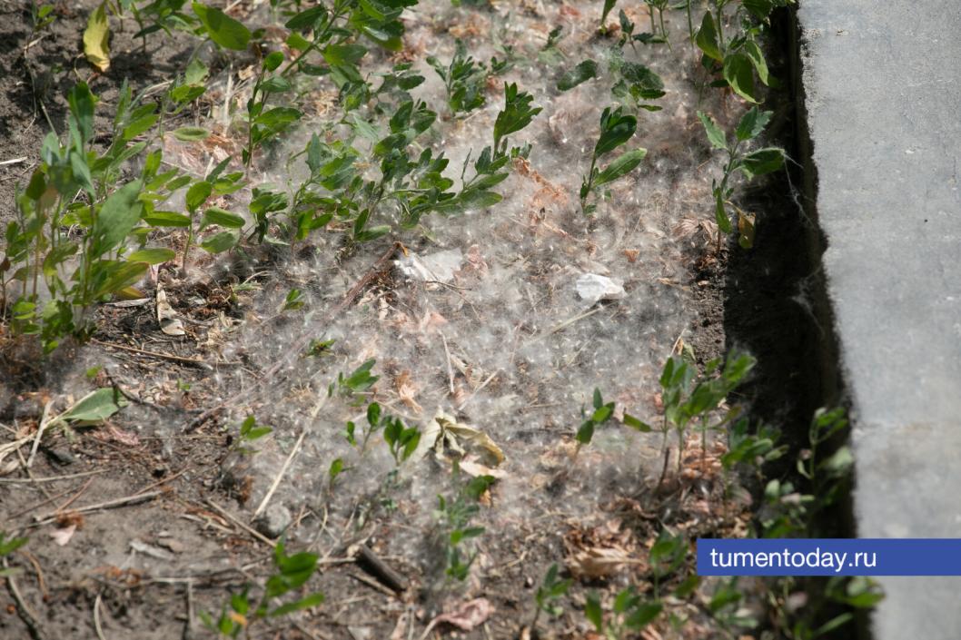 Фото Сергея Куликова