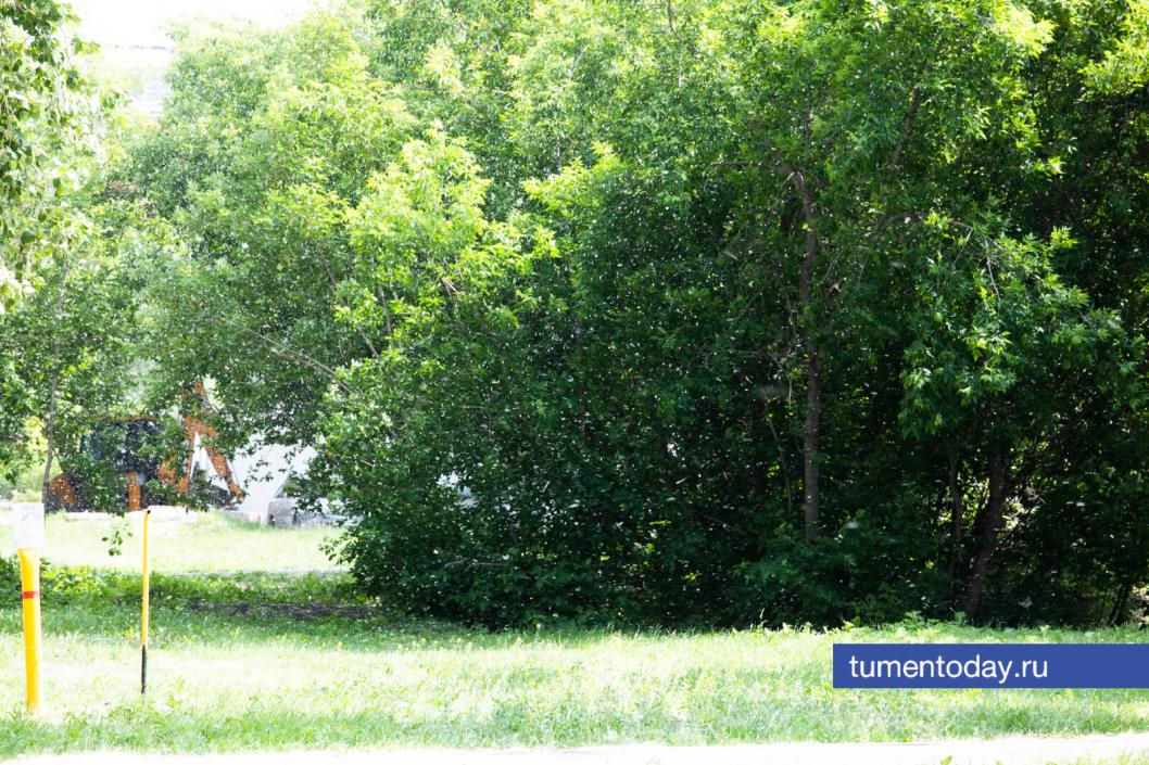 Фото Сергея Куликова