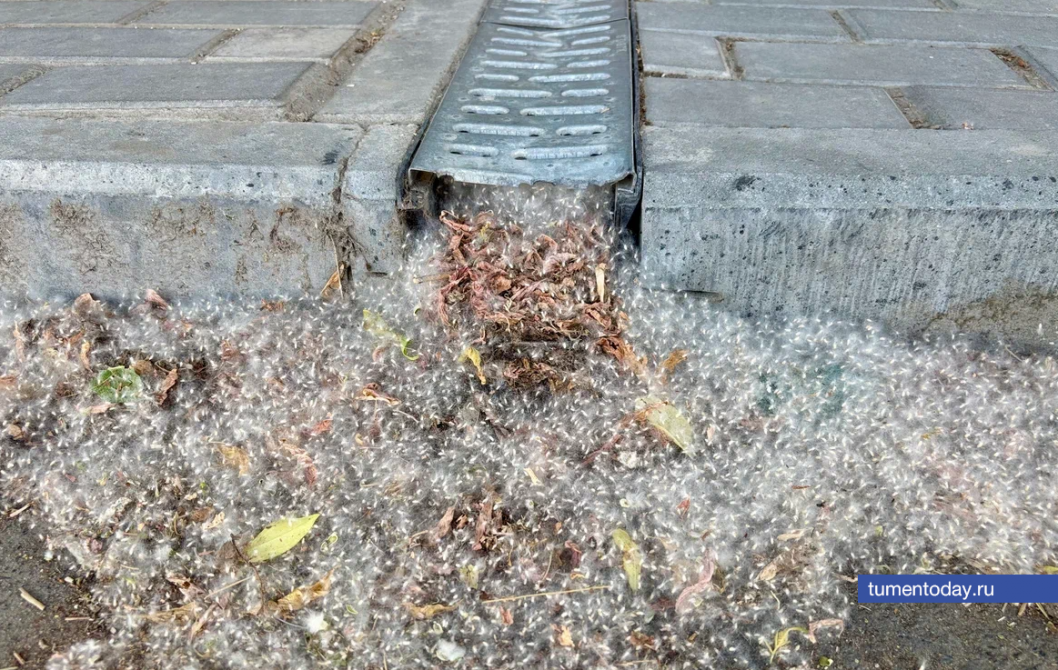 Фото Дениса Моргунова