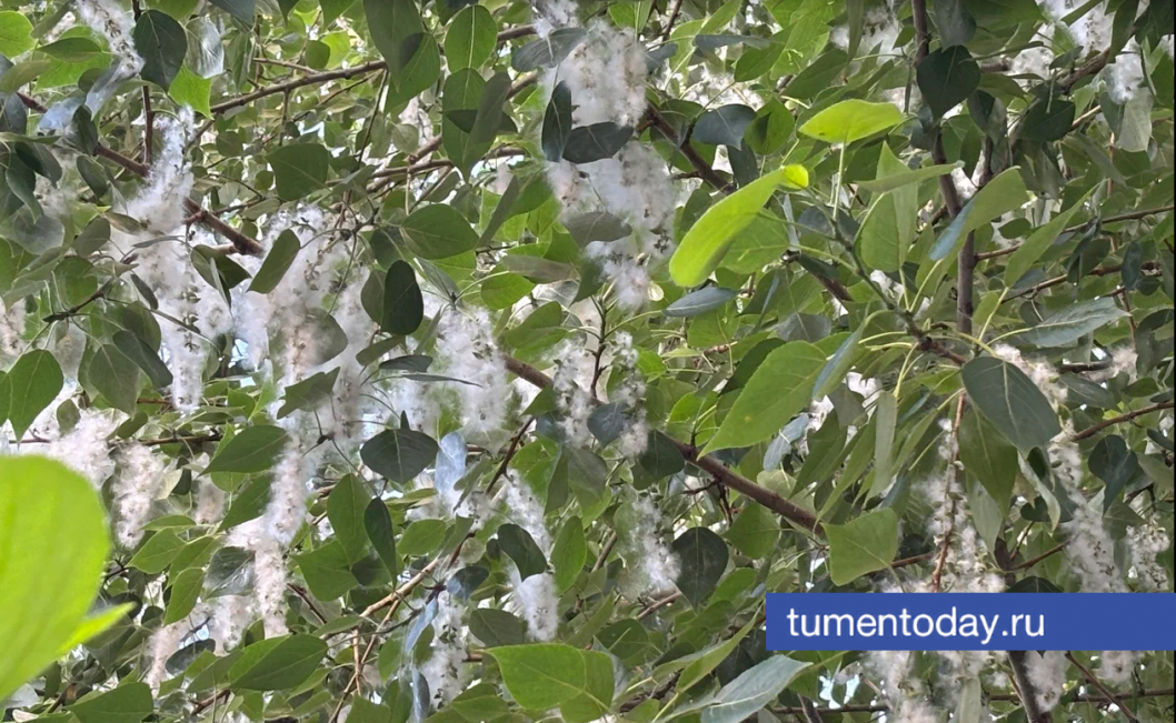 Фото Дениса Моргунова