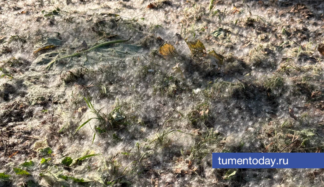 Фото Дениса Моргунова