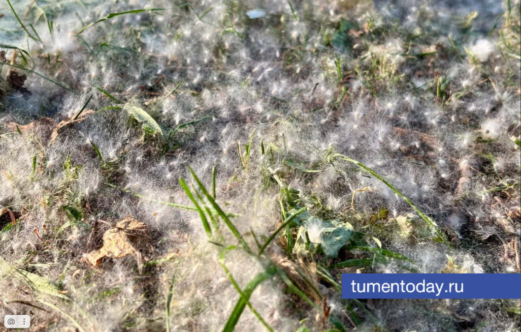 Фото Дениса Моргунова