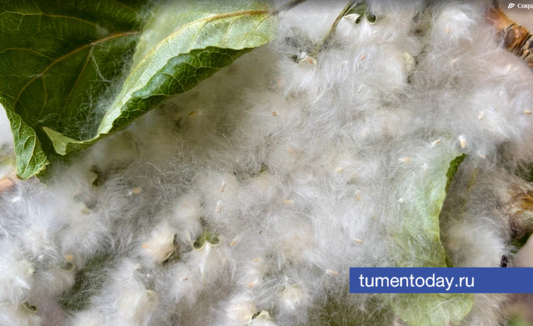 Фото Дениса Моргунова