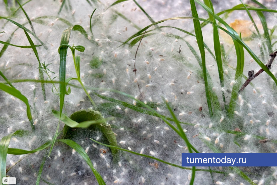 Фото Дениса Моргунова