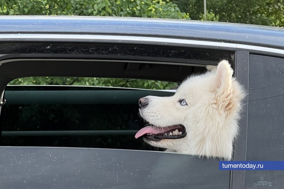 Фото Сергея Куликова