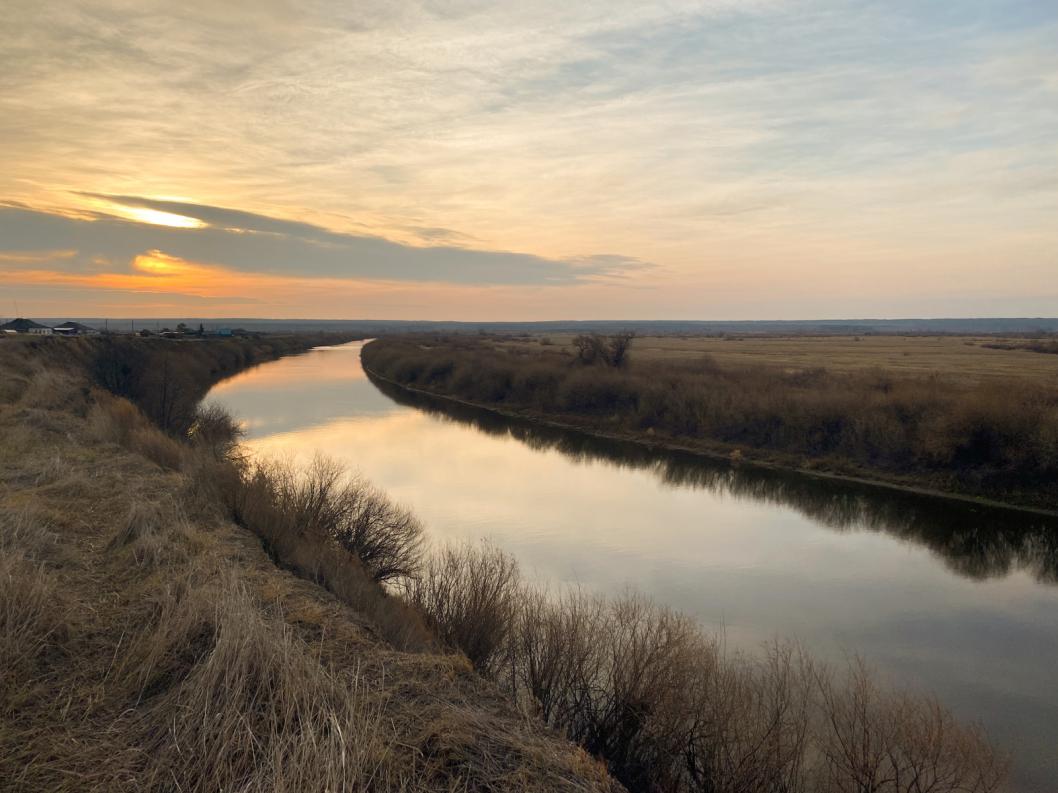 Река Ишим в Омской области. Рыбалка на реке Ишим Омская область. Экология реки Ишим.