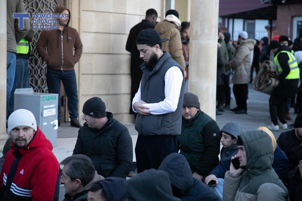 Фото Сергея Куликова﻿