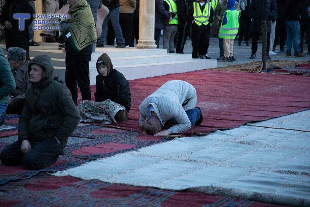 Фото Сергея Куликова﻿