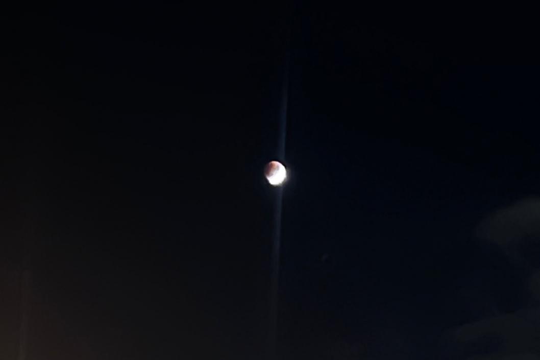 Фото: Екатерина Безрученко | «Старая башня», vk.com