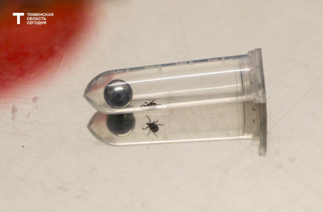 Фото Екатерины Христозовой