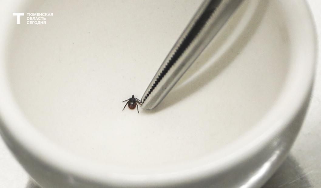 Фото Екатерины Христозовой