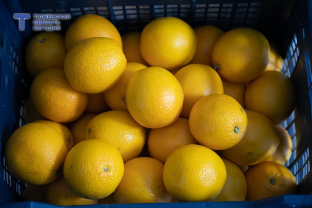 Фото Сергея Куликова﻿