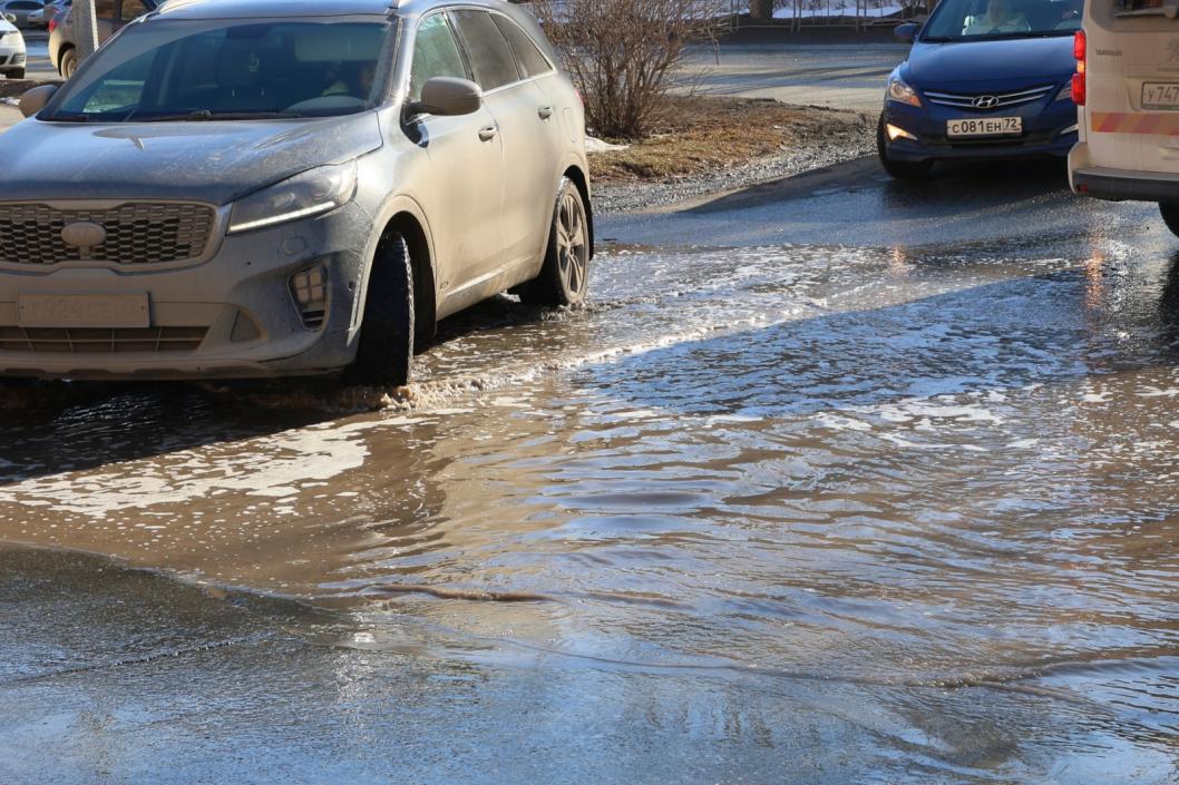Фото департамента дорожной инфраструктуры и транспорта администрации Тюмени, автор – Анастасия Богданова