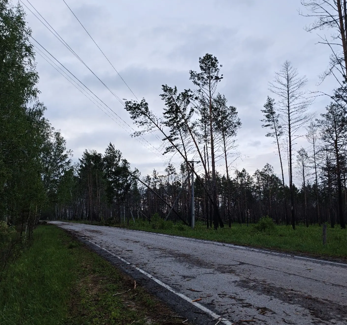 Фото: «Россети Тюмень», автор неизвестен