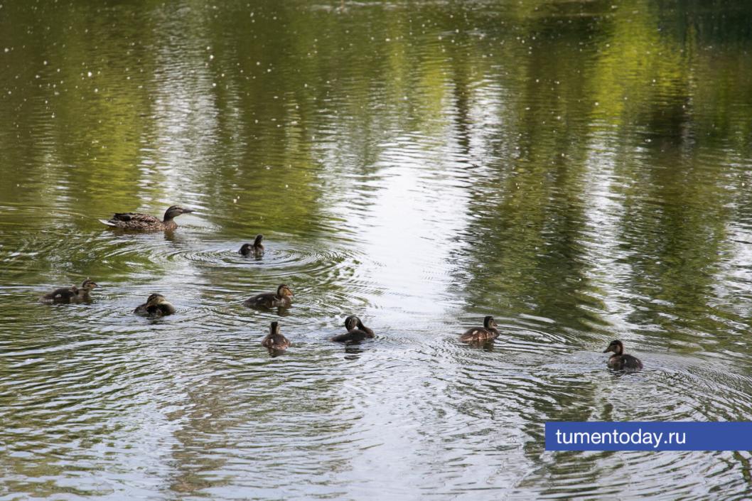 Фото Сергея Куликова