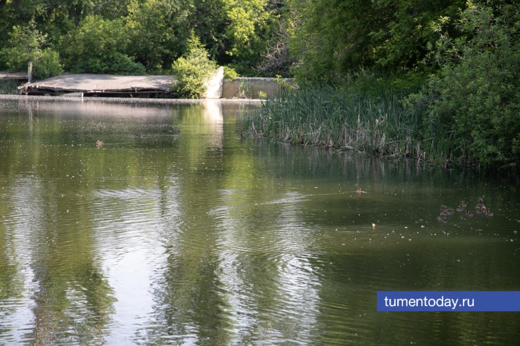 Фото Сергея Куликова