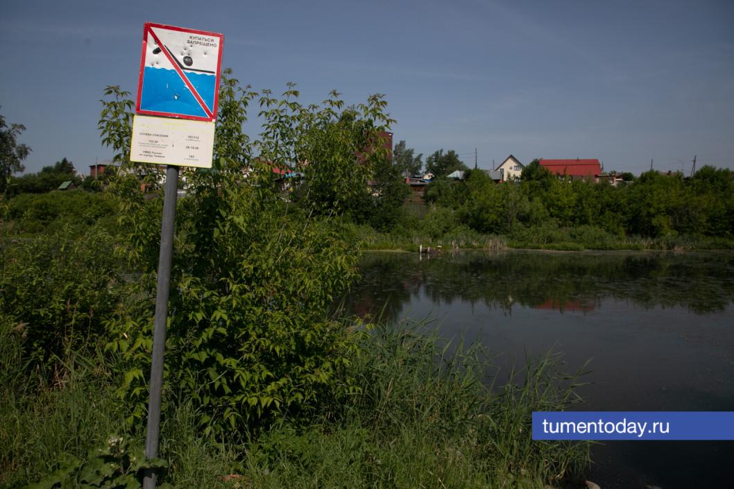 Фото Сергея Куликова