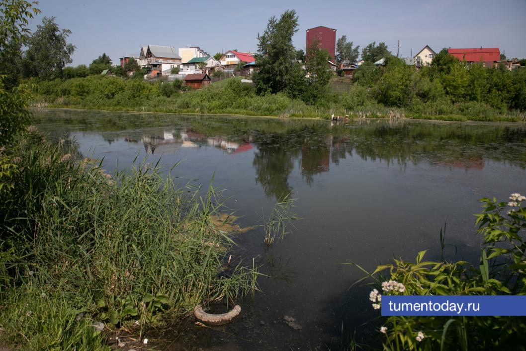 Фото Сергея Куликова