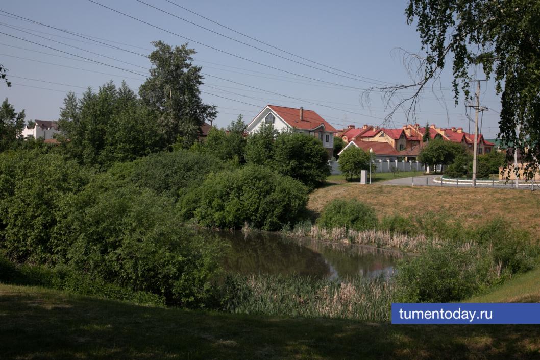 Фото Сергея Куликова