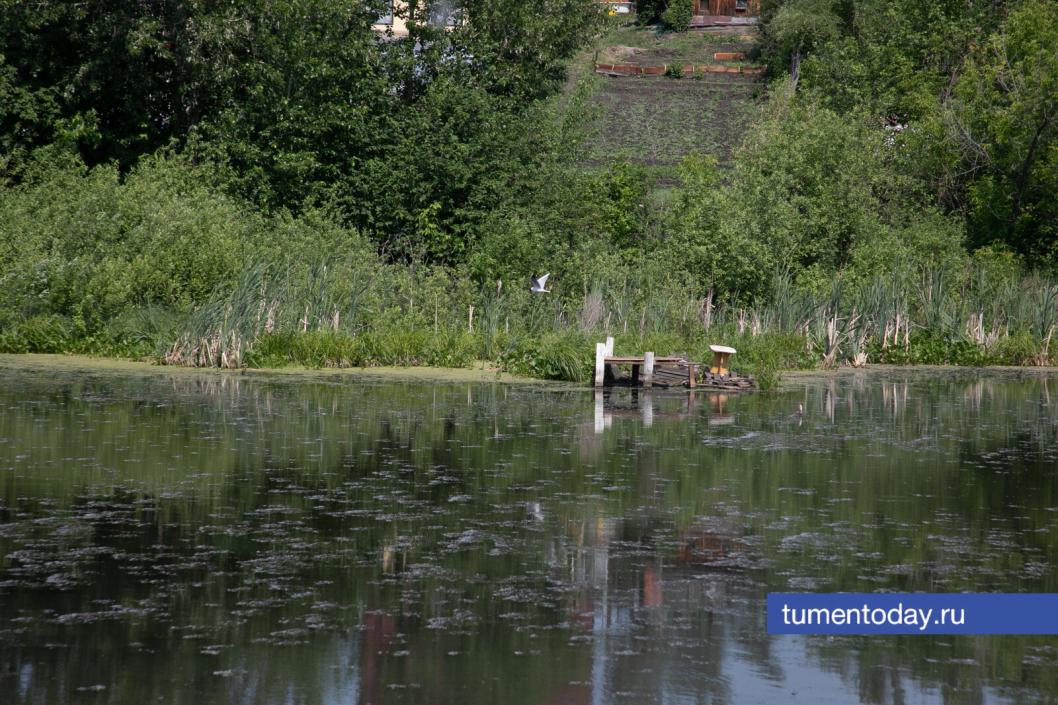 Фото Сергея Куликова