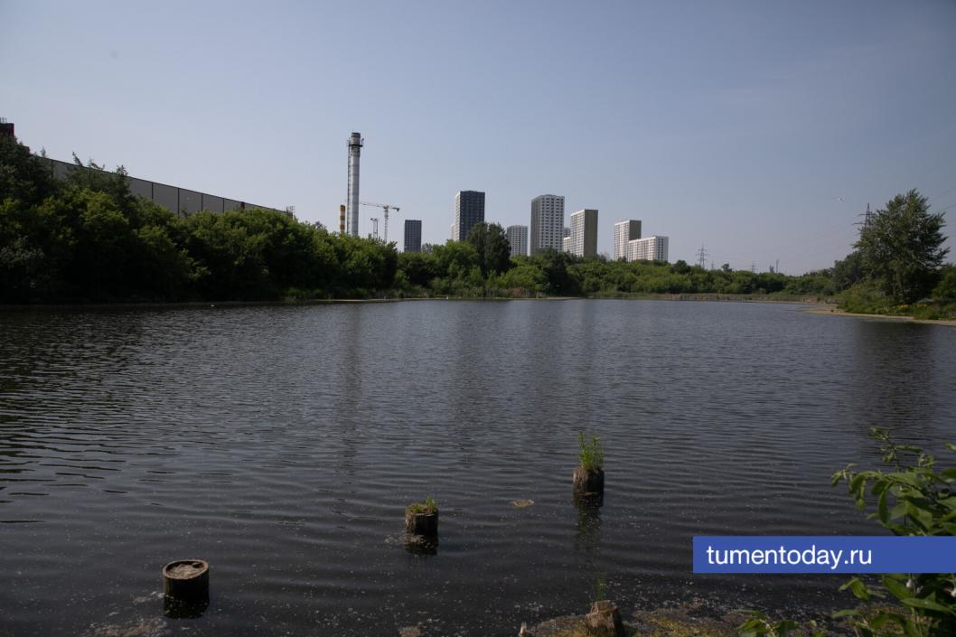 Фото Сергея Куликова