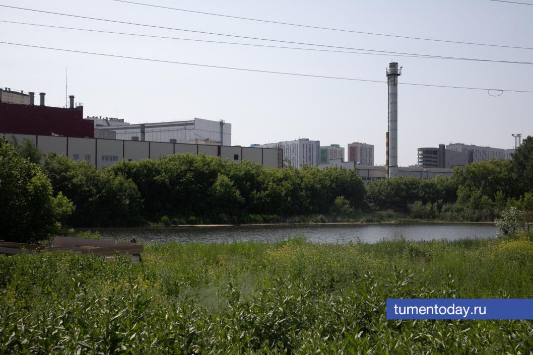 Фото Сергея Куликова