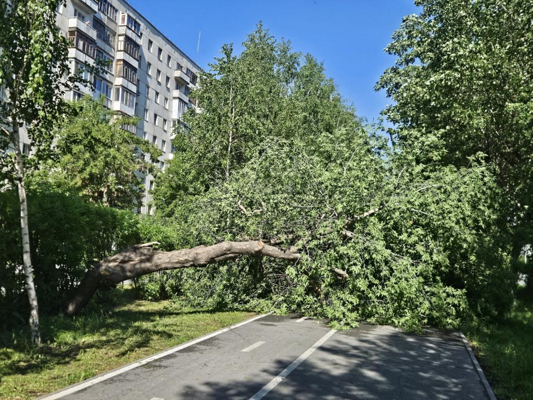 Фото Артемия Романова