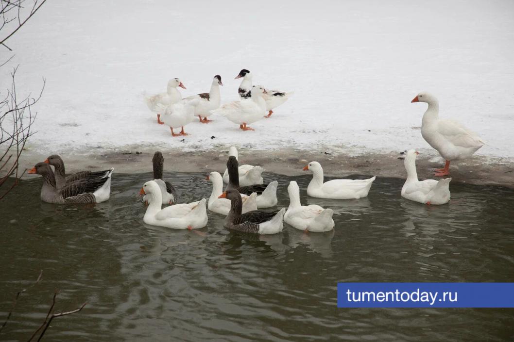 Фото Сергея Куликова