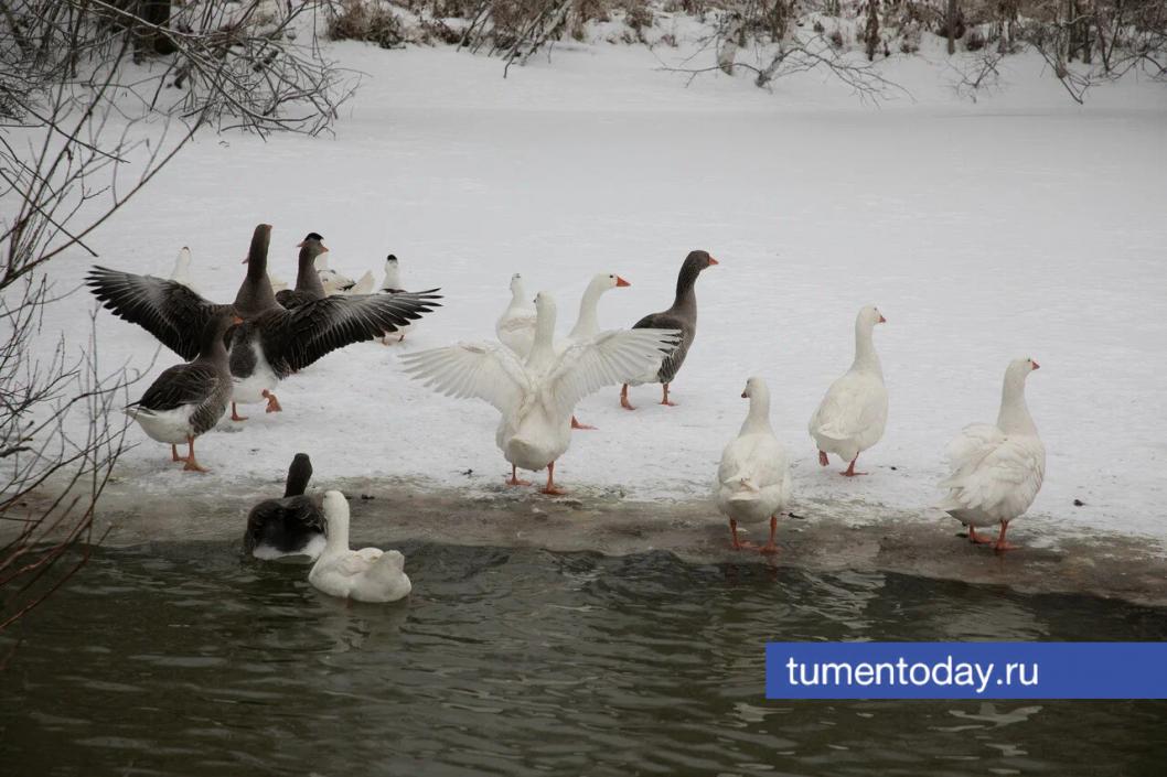 Фото Сергея Куликова