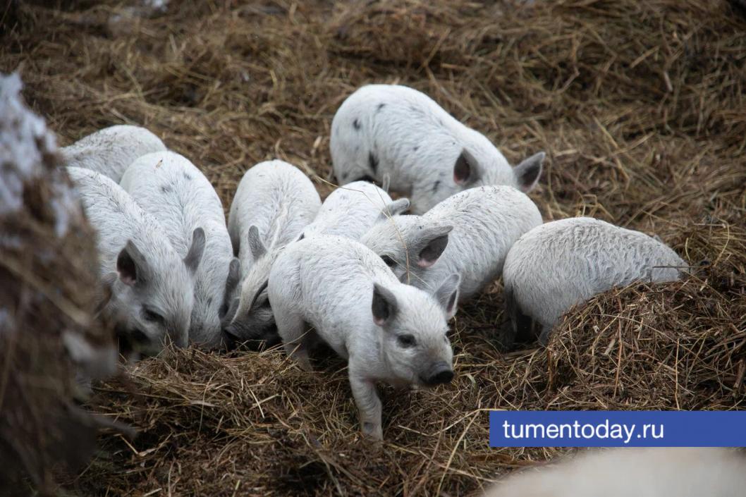 Фото Сергея Куликова