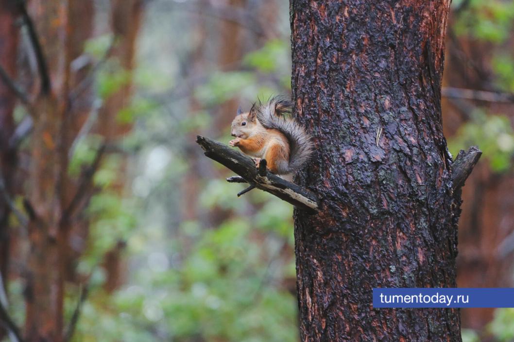 Фото Дениса Моргунова