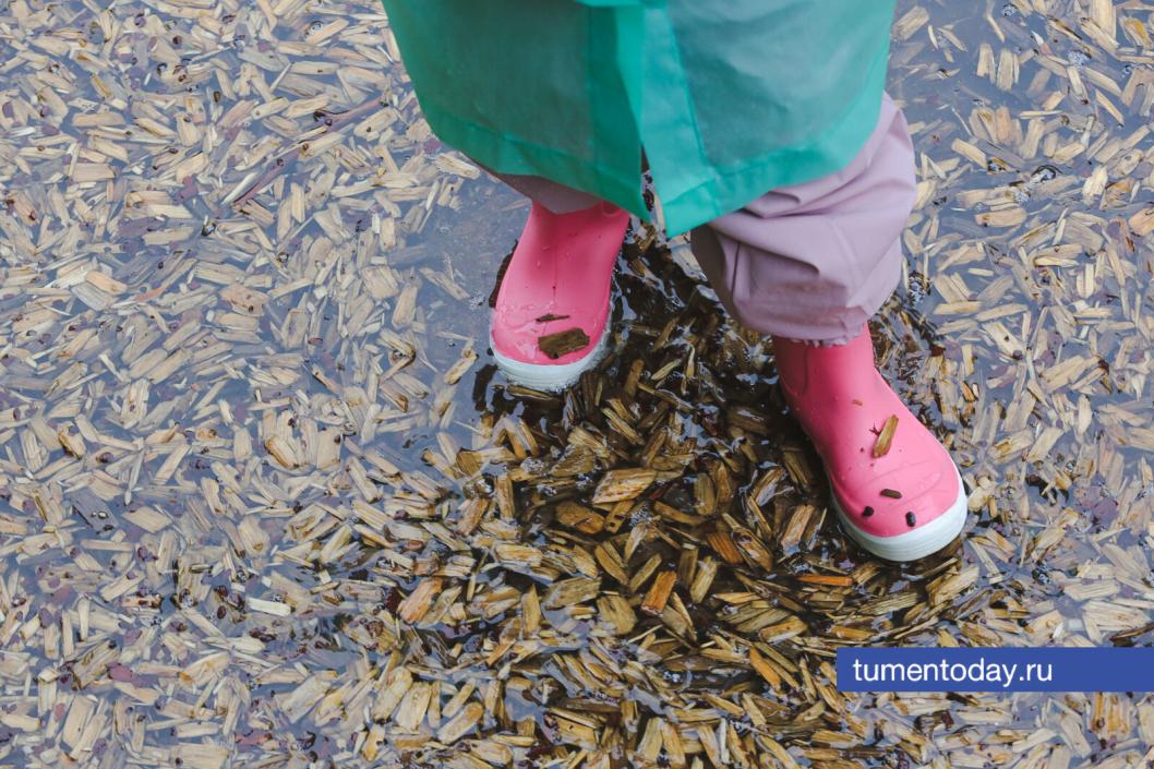 Фото Дениса Моргунова