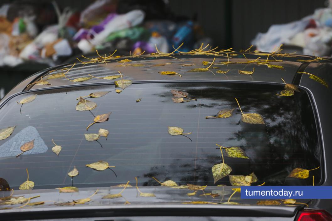 Фото Дениса Моргунова