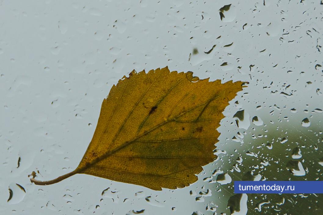 Фото Дениса Моргунова