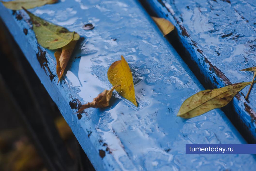 Фото Дениса Моргунова