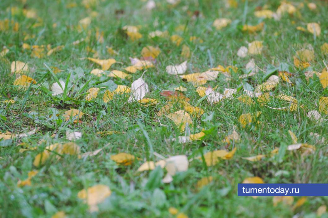 Фото Дениса Моргунова