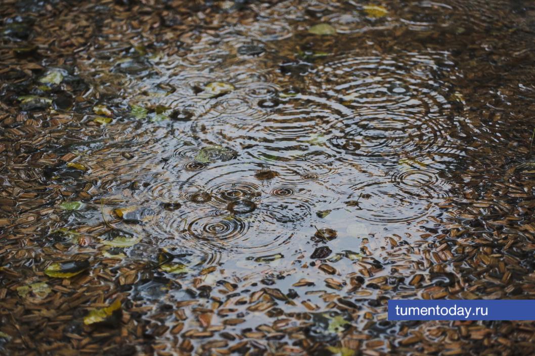 Фото Дениса Моргунова