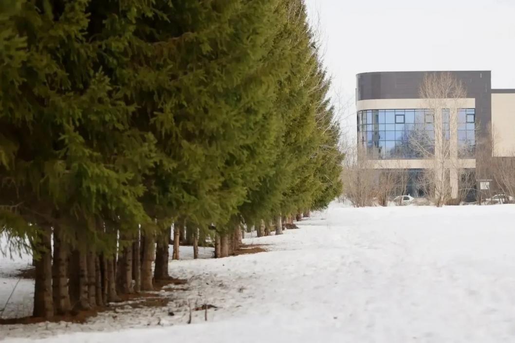 Фото из канала главы Тобольска Петра Вагина в MAX, автор неизвестен