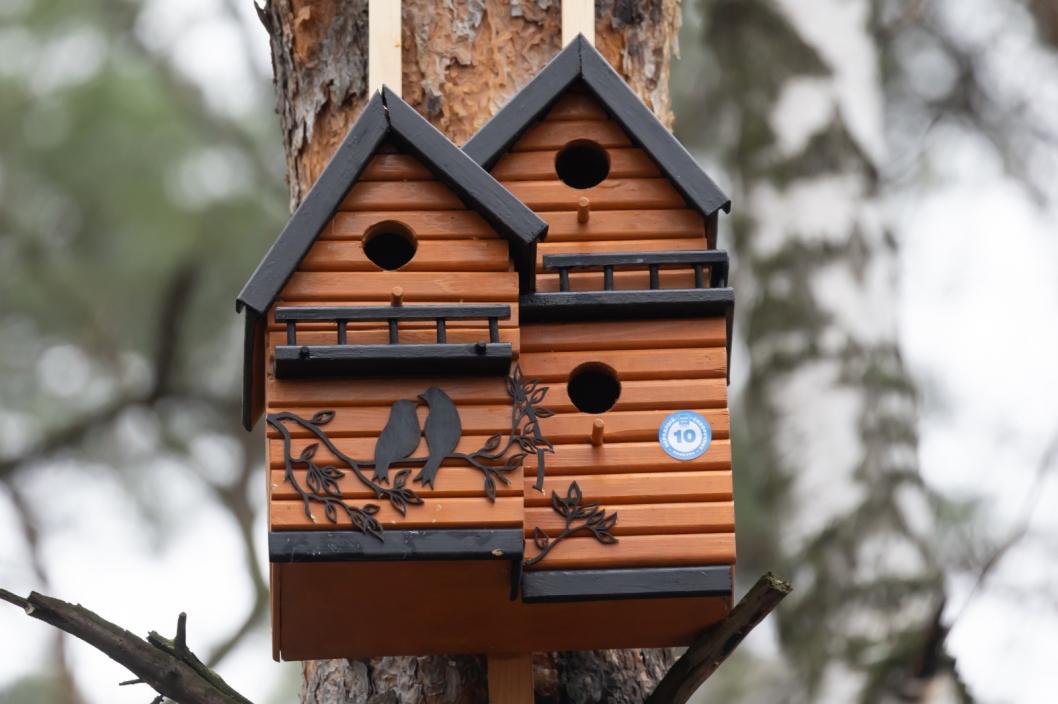 Фото Евгения Шарова, предоставлено медиахолдингом «Семёрка»