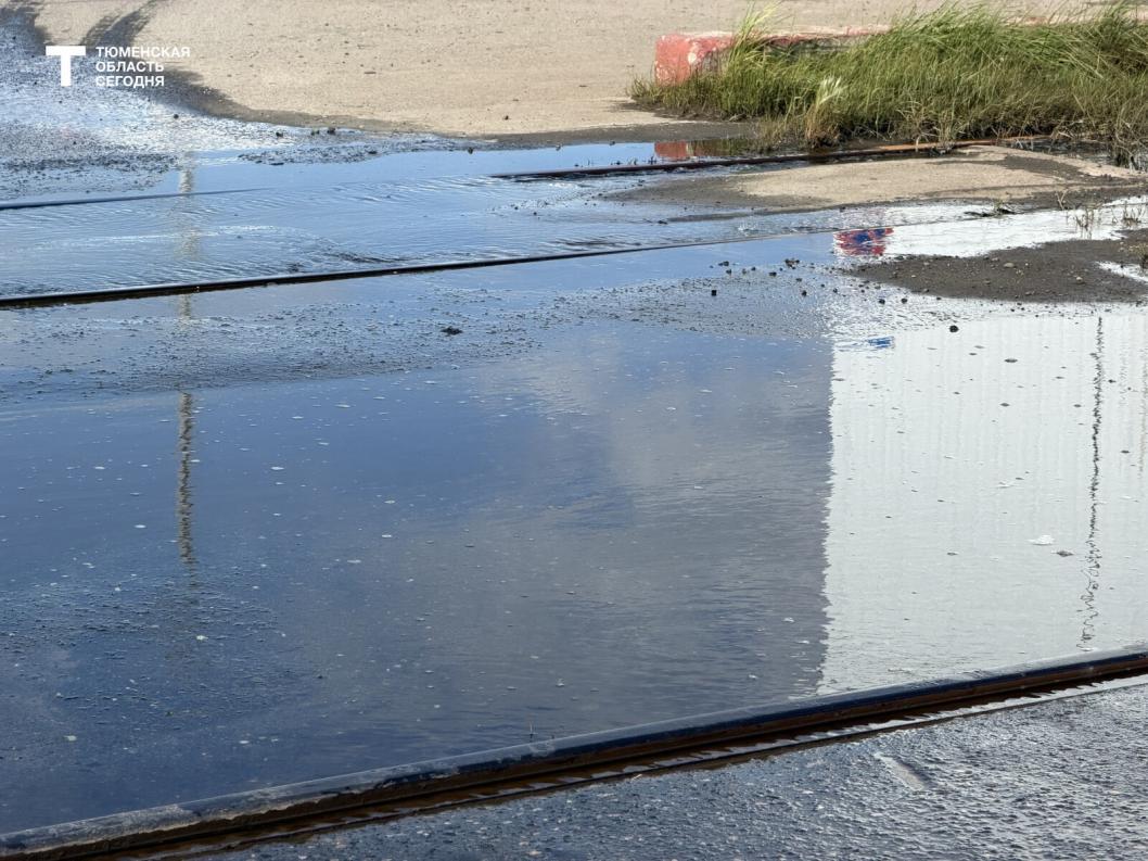 Фото Дарьи Булыги