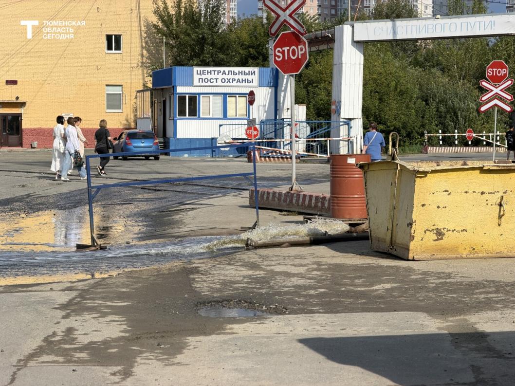 Фото Дарьи Булыги