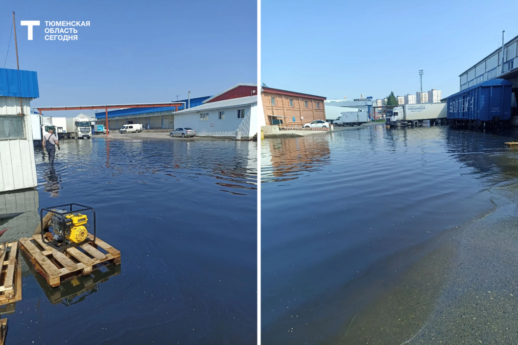 Фото предоставлено Александром Беляевым 