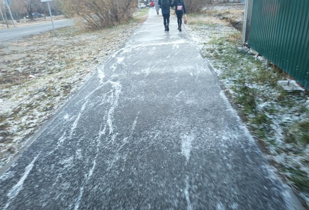 Фото Ольги Боровиковой