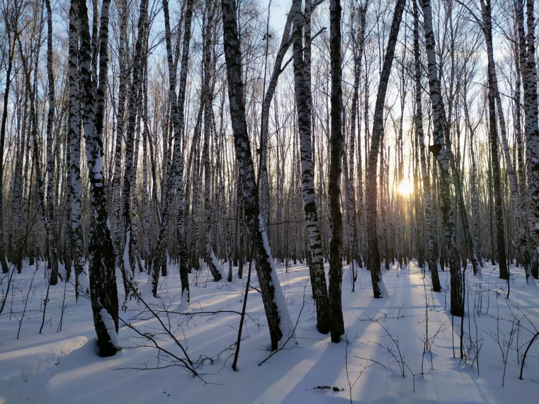 Фото Елены Рочевой