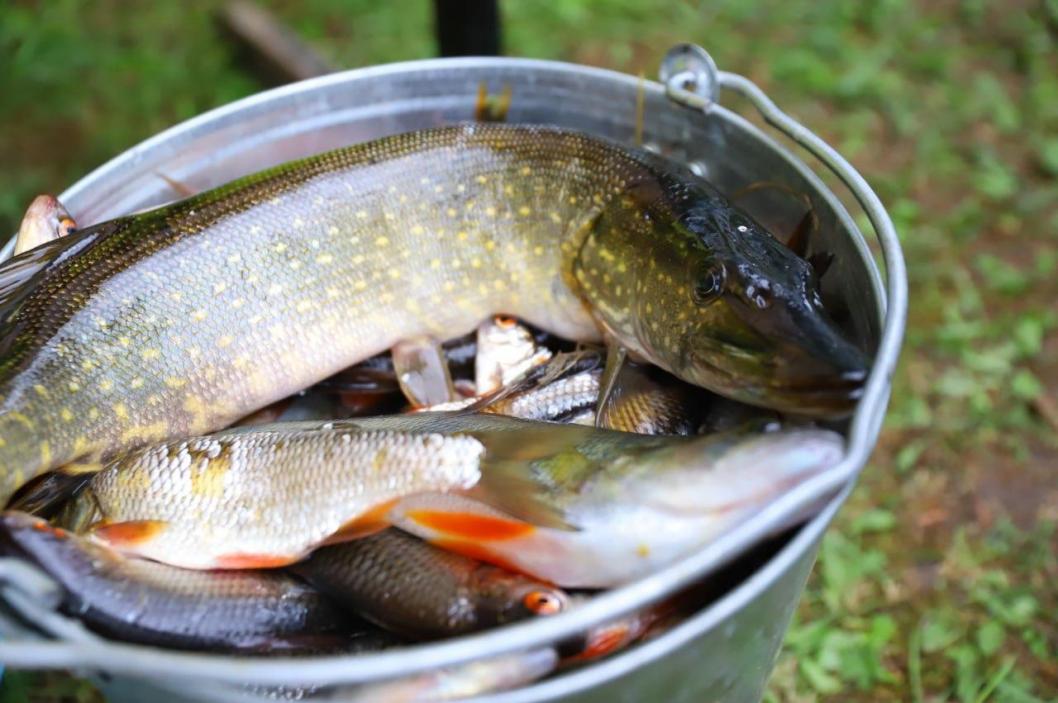 Фото: Голышмановское телевидение и радио 